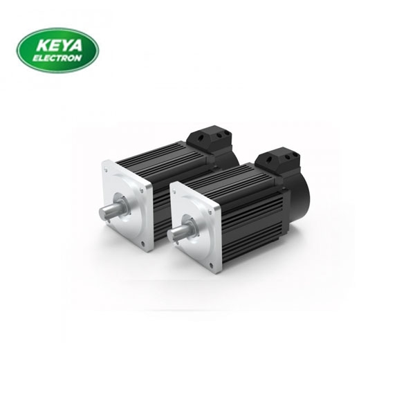 乐动在线(中国)60系列48V 400W 3000RPM